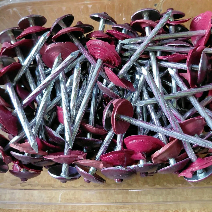 Roofing Nails 1Kg - Image 2