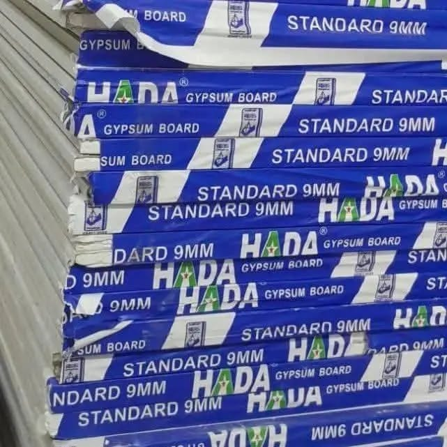 Gypsum board